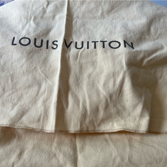 Louis Vuitton Damien Azur Galliera GM - Picture 14 of 14